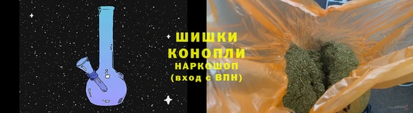 PSILOCYBIN Бердск