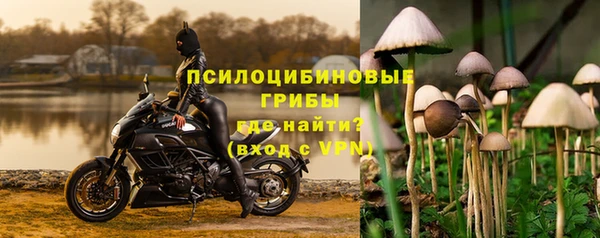 mdpv Майский