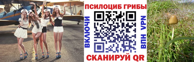 Галлюциногенные грибы GOLDEN TEACHER  гидра вход  Болотное 
