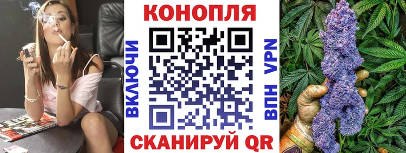 Бошки марихуана Bruce Banner  Болотное 